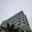 제주오리엔탈호텔 | [호텔] 제주 공항 근처 가성비 5성급 호텔, 제주시 오리엔탈 호텔 후기
