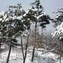 덕유산휴게소 이미지
