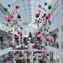 용인 | 용인 카페 후기 포레스트 아웃팅스 용인점