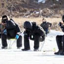 평창송어 이미지