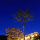 아레나펜션 이미지