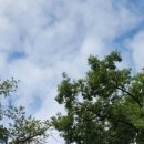 산정호수 가족글램핑 이미지