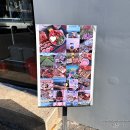 중문동-3 | [ 제주 중문동맛집 ] 오후새우시 / 제주 서귀포 중문 김밥 맛집 솔직후기