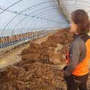 승우농장 이미지