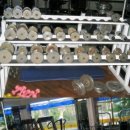 다이나포스헬스클럽 이미지