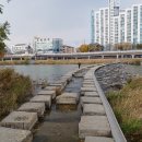 서대전약국 이미지