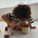 진영위너스태권도장 이미지