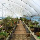 삼도농장 이미지