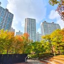 더 리센츠 이미지