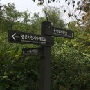 월드컵공원 유아숲체험원 이미지