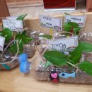 신안초등학교 병설유치원 이미지