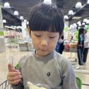 트레이더스 홀세일클럽 서면점(대형마트) 이미지