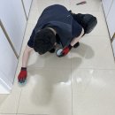 메타폴리스 | 동탄메타폴리스B동 현관 욕실 퍼플렉스 줄눈 시공 후기