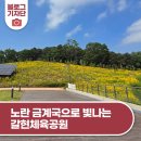 갈현체육공원1 | 노란 금계국으로 빛나는 갈현체육공원