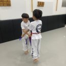 우솔태권도 이미지