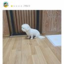 경기도 수원시 팔달구 인계로108번길 이미지