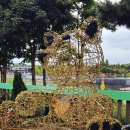 인천계양구 #계양아라온국화축제 #아라마루전망대﻿ 이미지