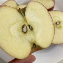 명절준비6탄)내일 명절전 마지막 택배 가능한 과일 품목입니다. (사과,배,만감류3총사,블루베리) 이미지