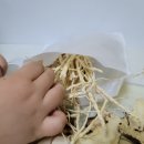 365자연을담다 이미지