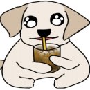 코피발리 이미지