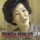 오대양