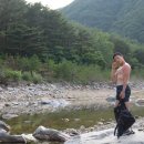 왕피천 숲속 캠핑장 이미지