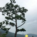 송백펜션 이미지