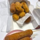 하루치즈 이미지