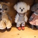 종로-연건-종로-연-328 | 동네한바퀴 328회 서촌 튀니지 가정식 꾸스꾸스 누하동 양모펠트 인형 냥만왈츠