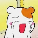 안녕, 후추 이미지