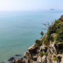 땅끝천년숲옛길 이미지