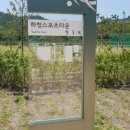 하청스포츠 운동장 이미지