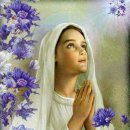 성동노인복지관 이미지