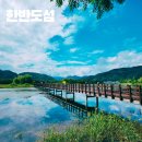 동수리 한반도섬 전망대 가로수 | 양구 한반도섬 자연습지 한반도지형 강원도 여행 가볼 만한 곳 주차 방문 후기