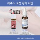 레푸스 수원광교점