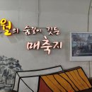 부산 갈만한곳 / 옛 시간이 머물고 있는 동구 좌천동 매축지마을