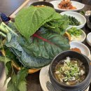 채소쌈밥 | 광양 현지인 맛집 지리산우렁쌈밥 차돌박이 돌솥 쌈밥 쌈 채소 무한리필 후기