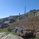 산동카 네이버블로그