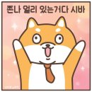 삼삼오 이미지