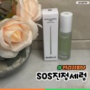 주식회사뉴그린 | 진정세럼 추천 민감한 피부에 사용해본 뉴리클 SOS 진정 세럼 후기