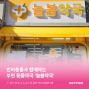 늘봄약국 이미지