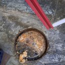 신정시장 | 울산 남구 신정동 하수구 막힘, 신정시장 현장 후기