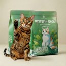 냥집사 | 냥집사 필수템 공개 | 먼지없는 고양이 모래로 집 청결 유지하는 법