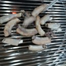 기장꼼장어 이미지