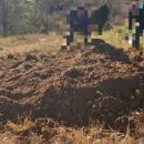 신용수목장 이미지