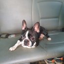 성가의원 이미지