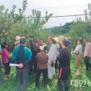 최용진 농장 이미지