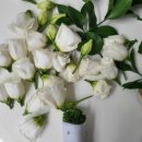 기초베트남어 배우기 과정 | 미사 부케말리기 창업과정 후기 – 웨딩부케 보존 기술부터 브랜드 운영까지 한 번에 배우기