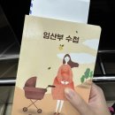 경남농아인협회 창원시창원지부 | 창원 마산 임산부 독감 백일해 예방접종 저렴한 곳(바우처 가능/가격 정리)