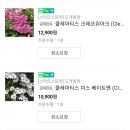도개화원